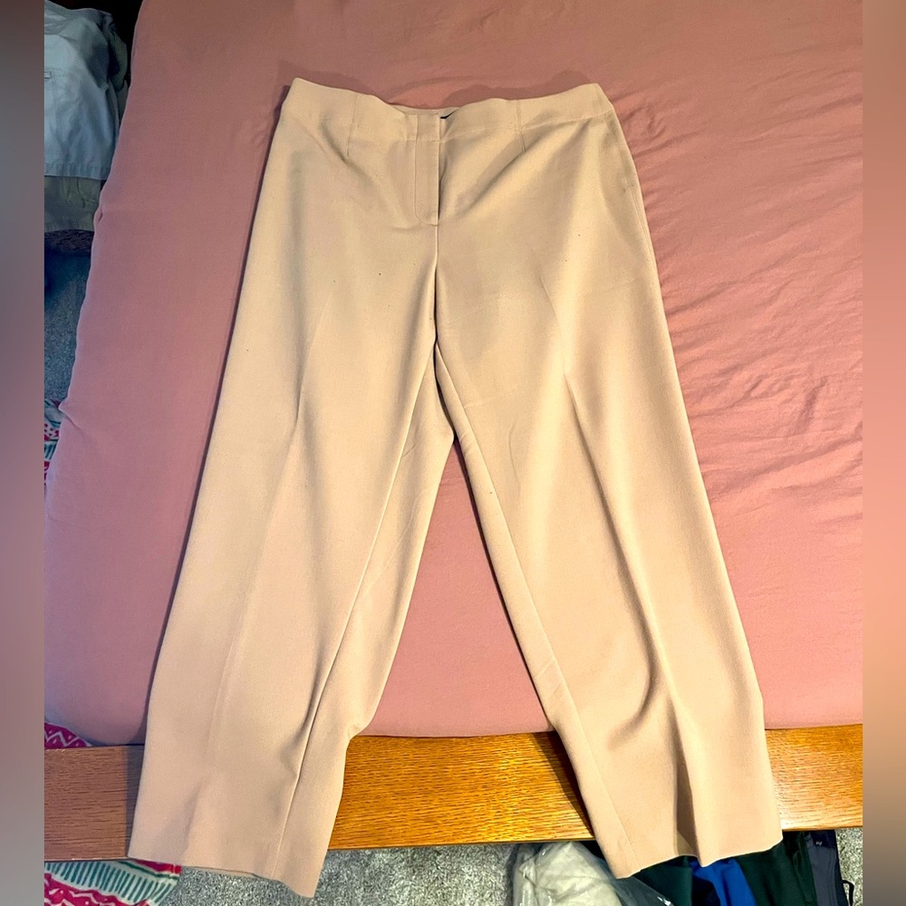 Ann Taylor Dress Pants